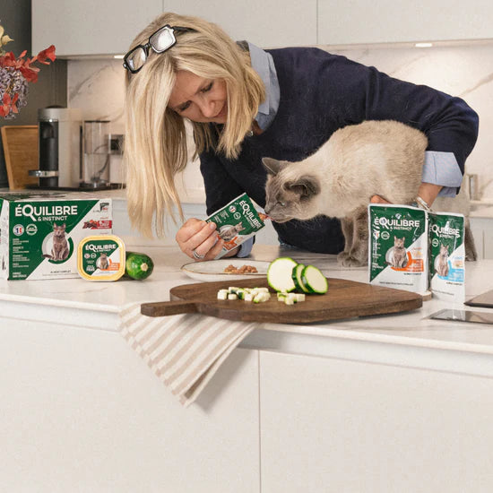 Chat adulte & senior
