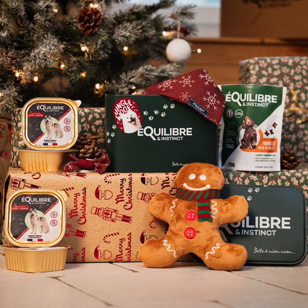 Coffret de Noël (chien adulte)