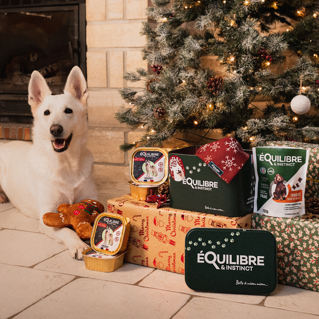 Coffret de Noël (chien adulte)