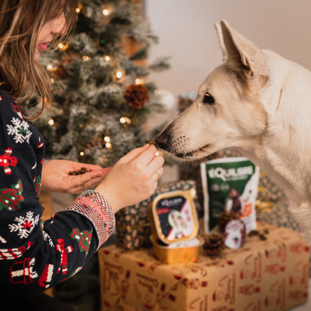 Coffret de Noël (chien adulte)