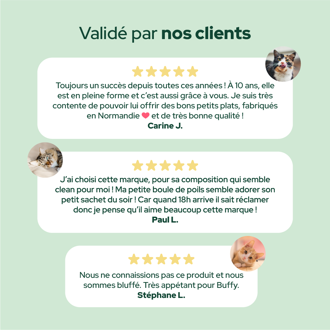 Pack découverte humide (Chat adulte et chat stérilisé)