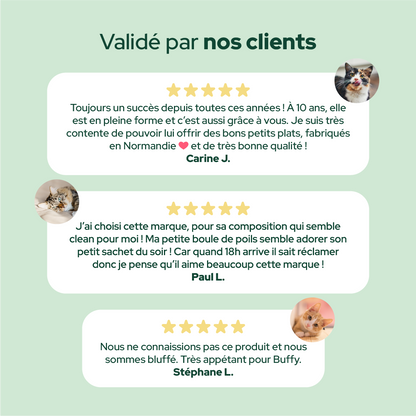 Pack découverte humide (Chat adulte et chat stérilisé)