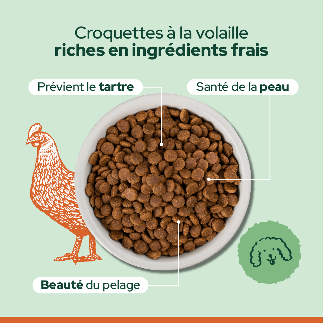Pack découverte bi-nutrition (Chien adulte)
