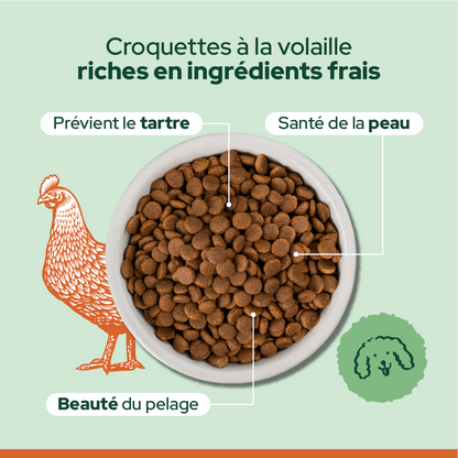 Pack découverte bi-nutrition (Chien adulte)