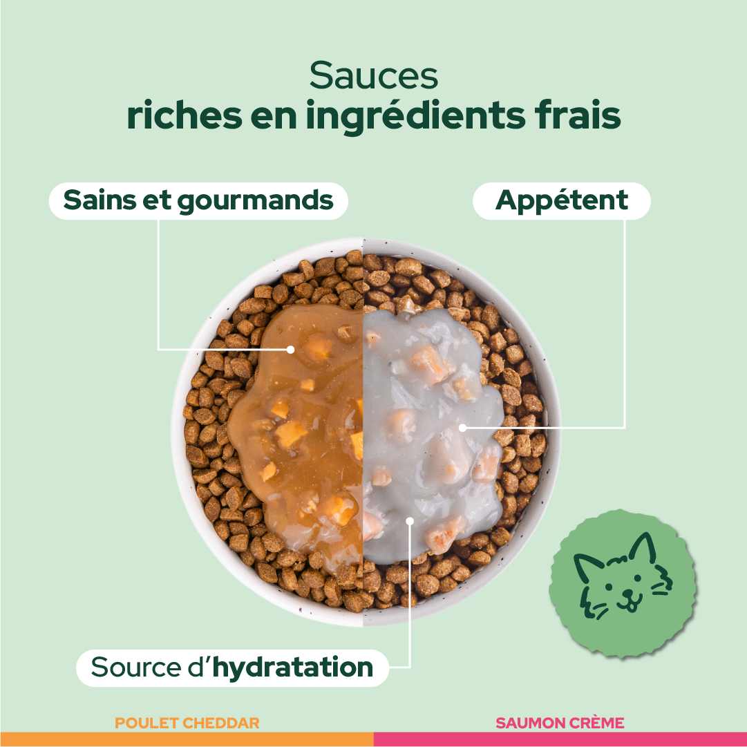 Pack découverte humide (Chat adulte et chat stérilisé)