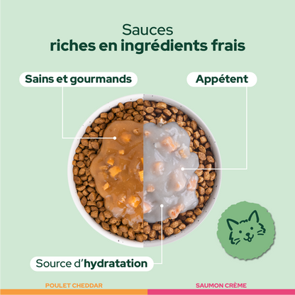 Pack découverte humide (Chat adulte et chat stérilisé)
