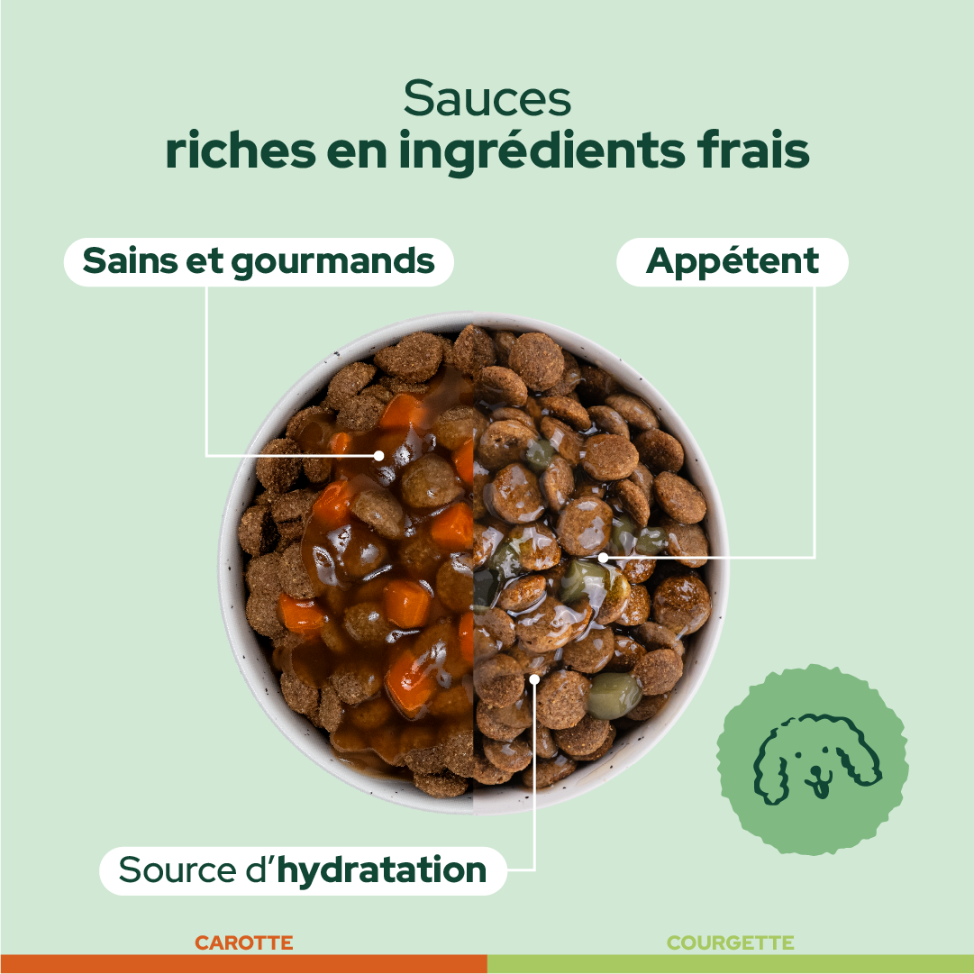 Pack découverte humide (Chien adulte)