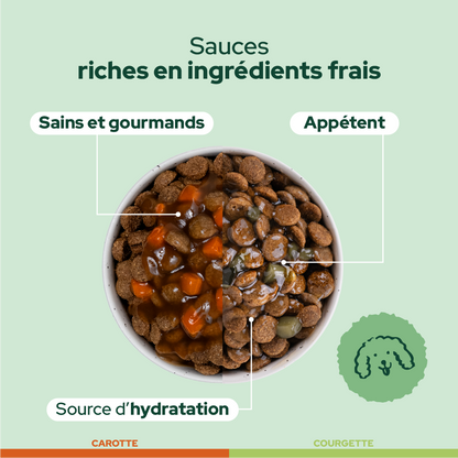 Pack découverte humide (Chien adulte)