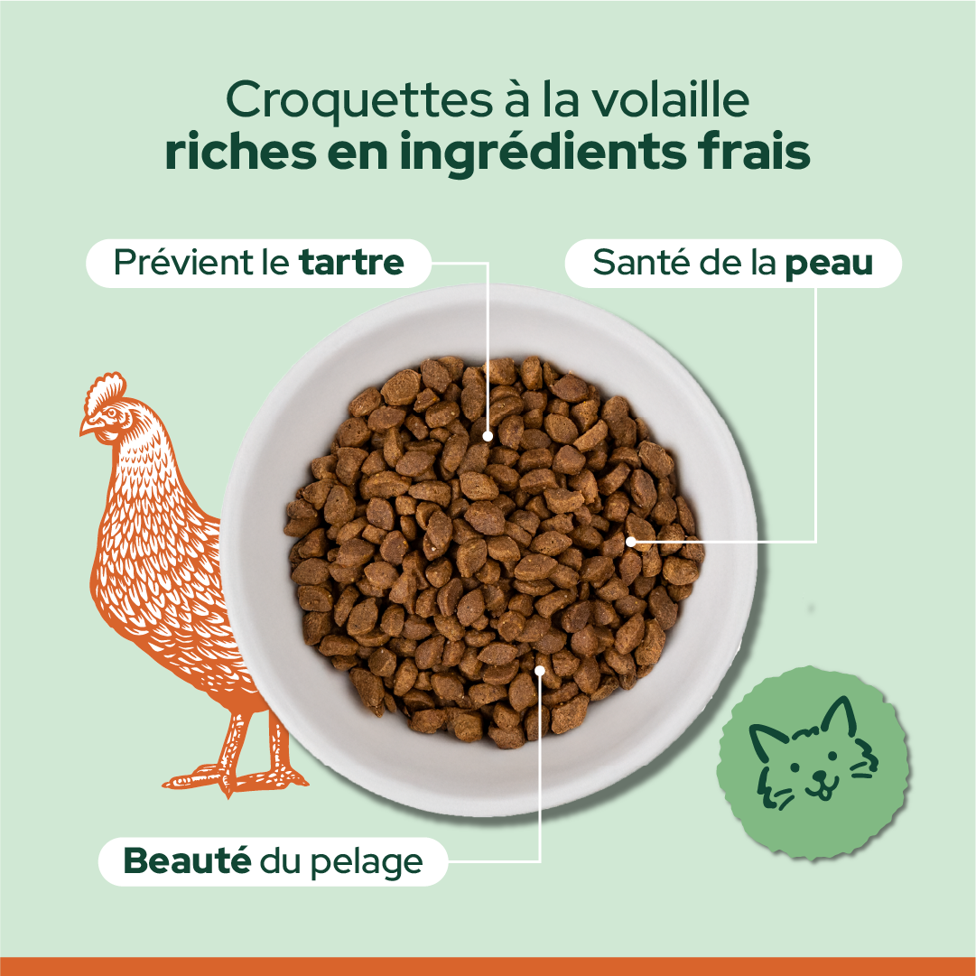 Pack découverte bi-nutrition (Chat adulte et chat stérilisé)