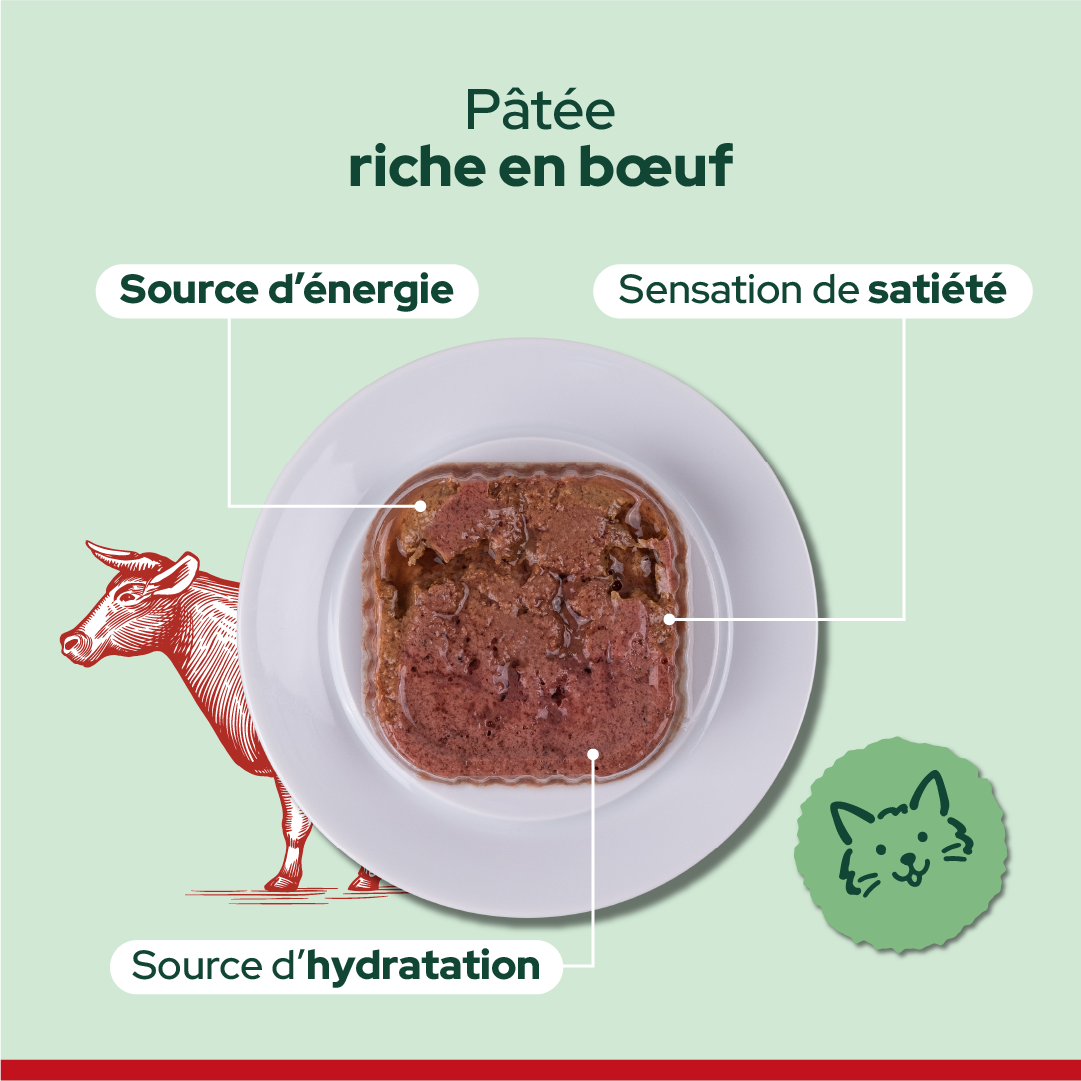 Pack découverte humide (Chat adulte et chat stérilisé)