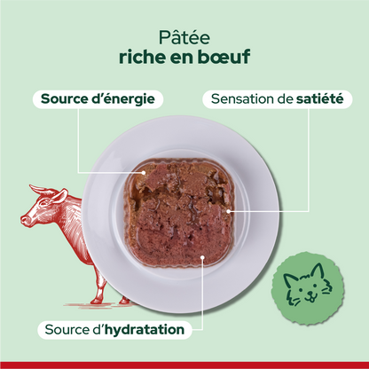 Pack découverte humide (Chat adulte et chat stérilisé)