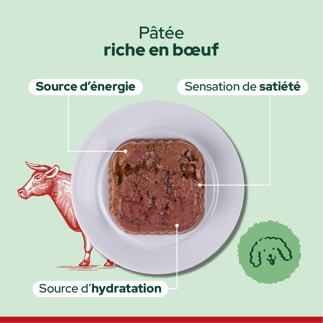Pack découverte humide (Chien adulte)
