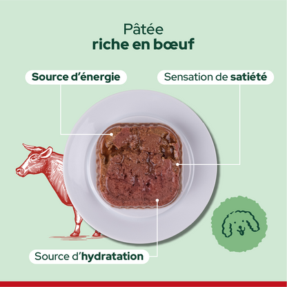 Pack découverte humide (Chien adulte)
