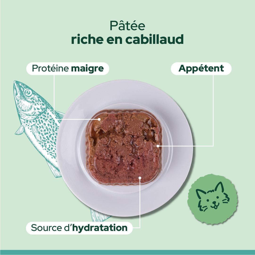 Pack découverte humide (Chat adulte et chat stérilisé)