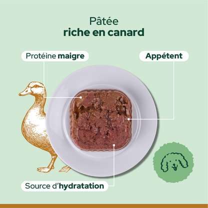 Pack découverte humide (Chien adulte)