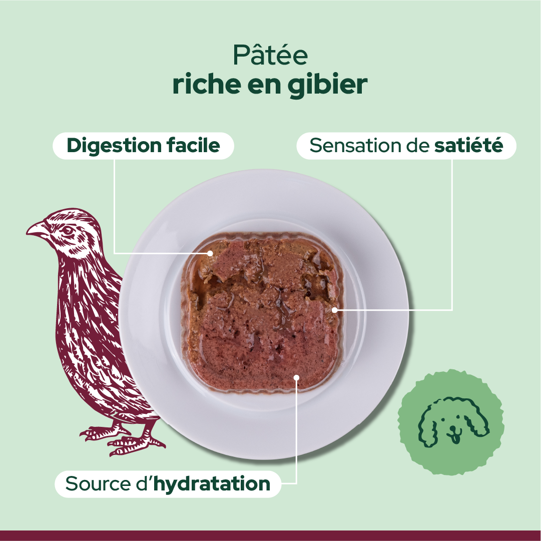 Pack découverte humide (Chien adulte)