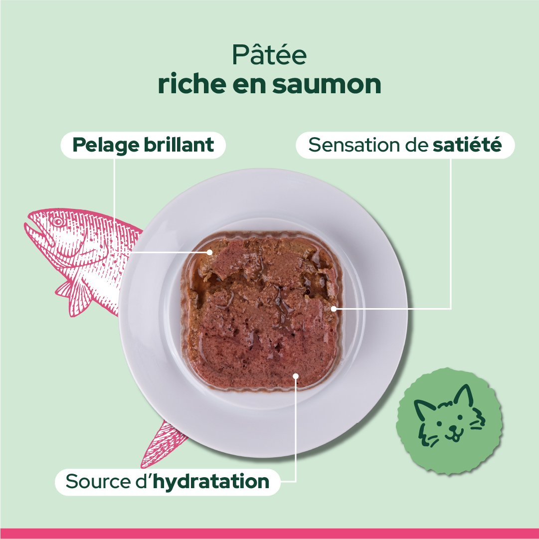 Pack découverte humide (Chat adulte et chat stérilisé)