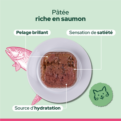 Pack découverte humide (Chat adulte et chat stérilisé)