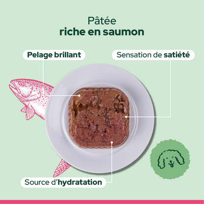 Pack découverte humide (Chien adulte)