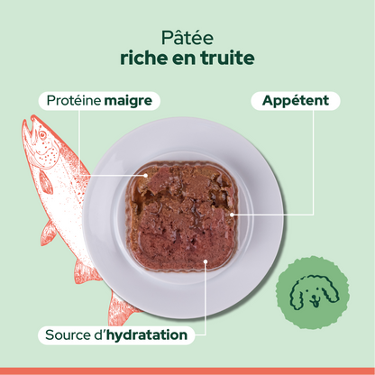 Pack découverte humide (Chien adulte)