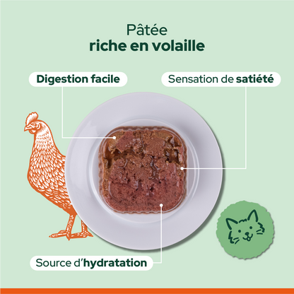 Pack découverte humide (Chat adulte et chat stérilisé)