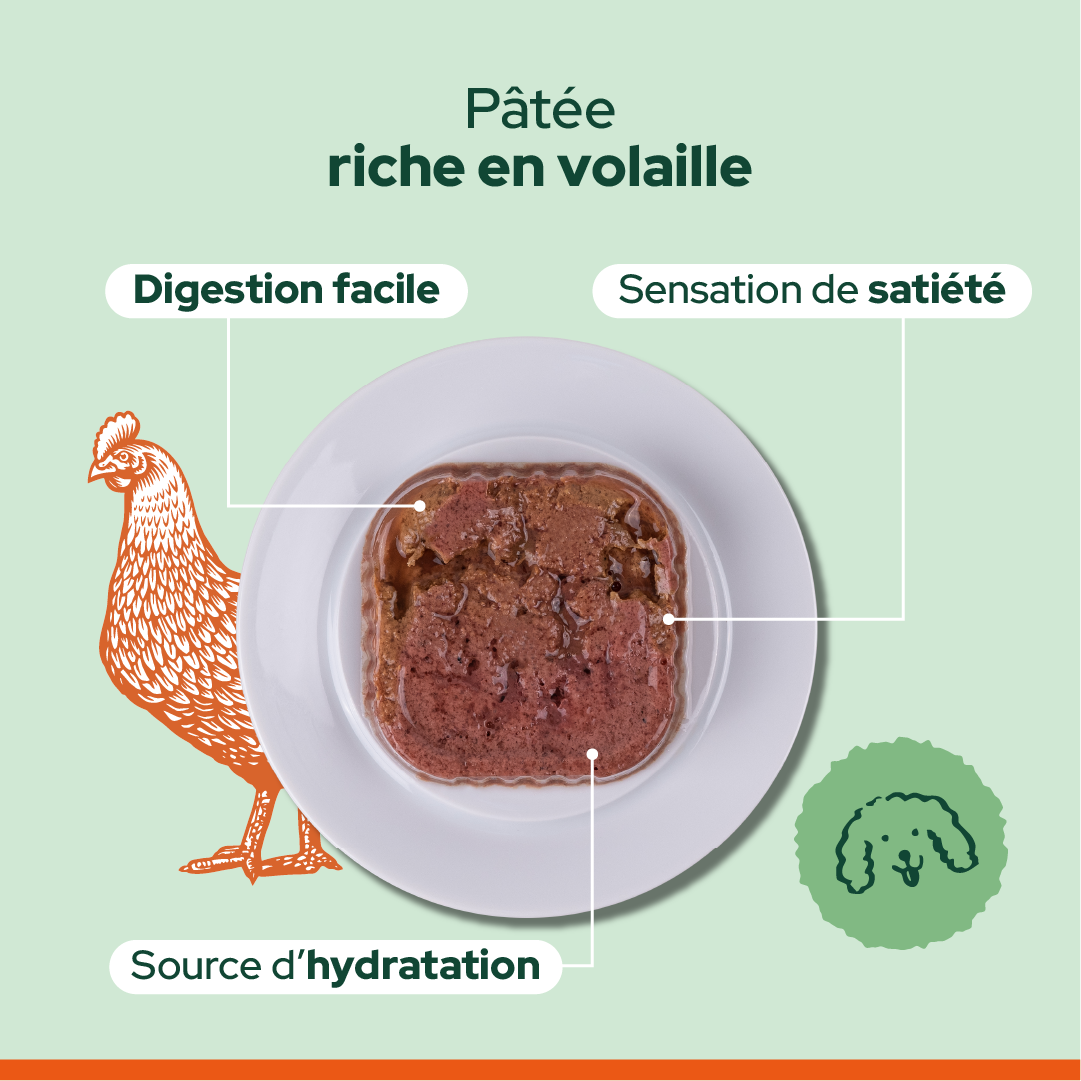 Pack découverte humide (Chien adulte)