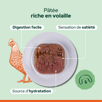 Pack découverte humide (Chien adulte)