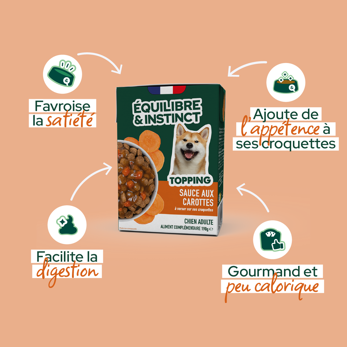 Sauce aux carottes (chien adulte)