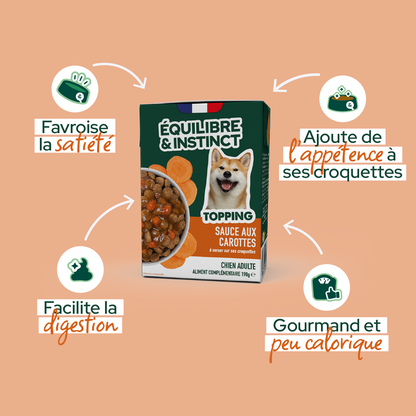 Sauce aux carottes (chien adulte)