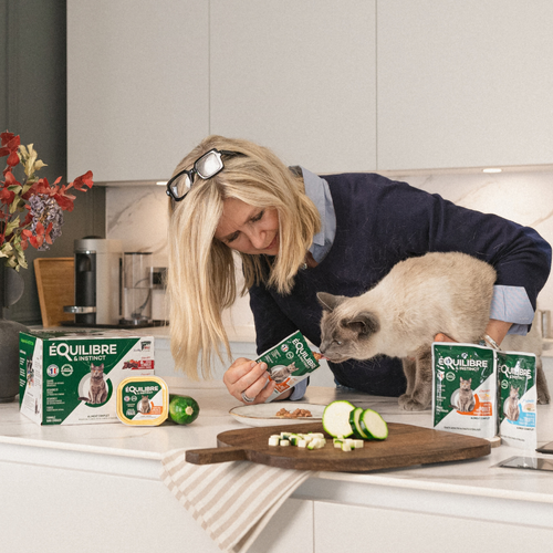 Chat adulte et senior