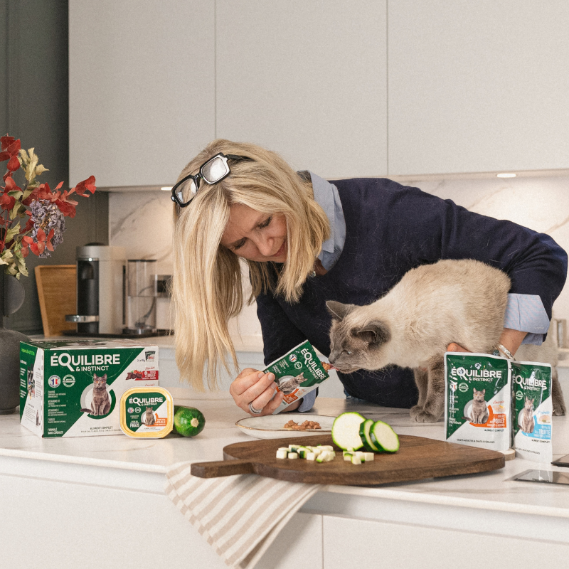Chat adulte & senior