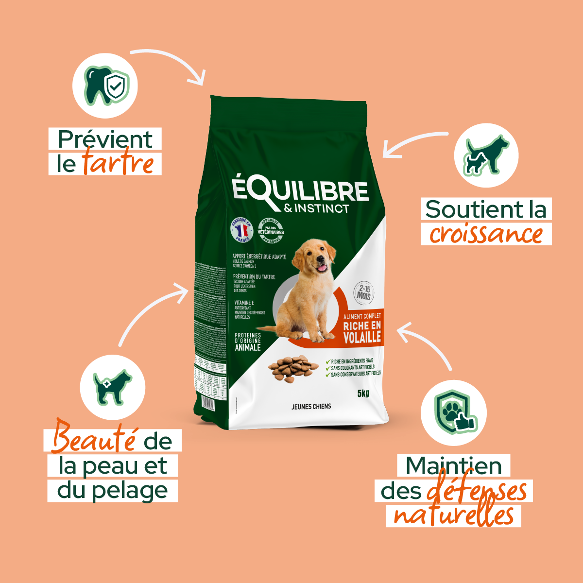 Croquettes de volaille riches en ingrédients frais (Chiot)