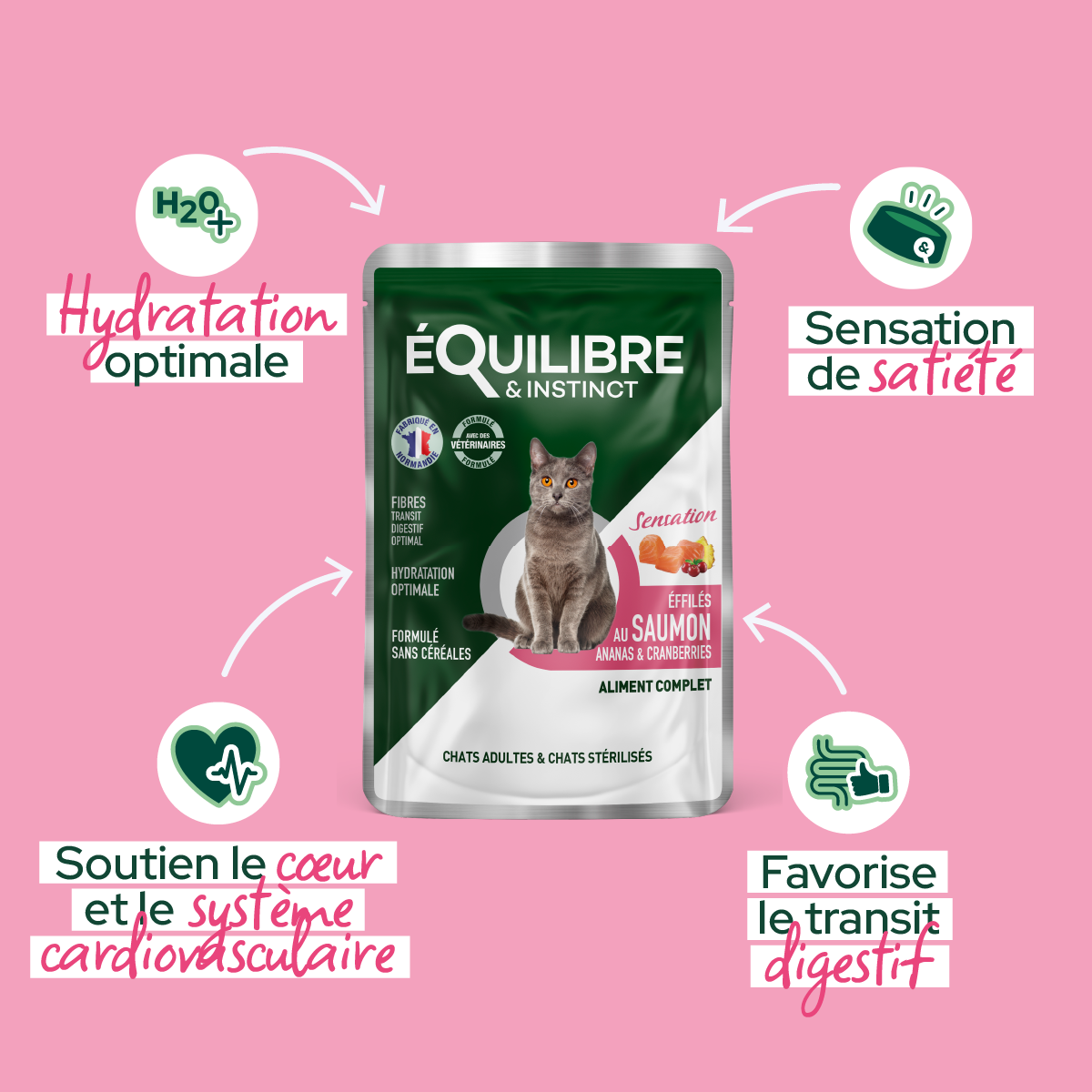 Effilés au saumon, ananas & cranberries (Chat stérilisé et Chat adulte)