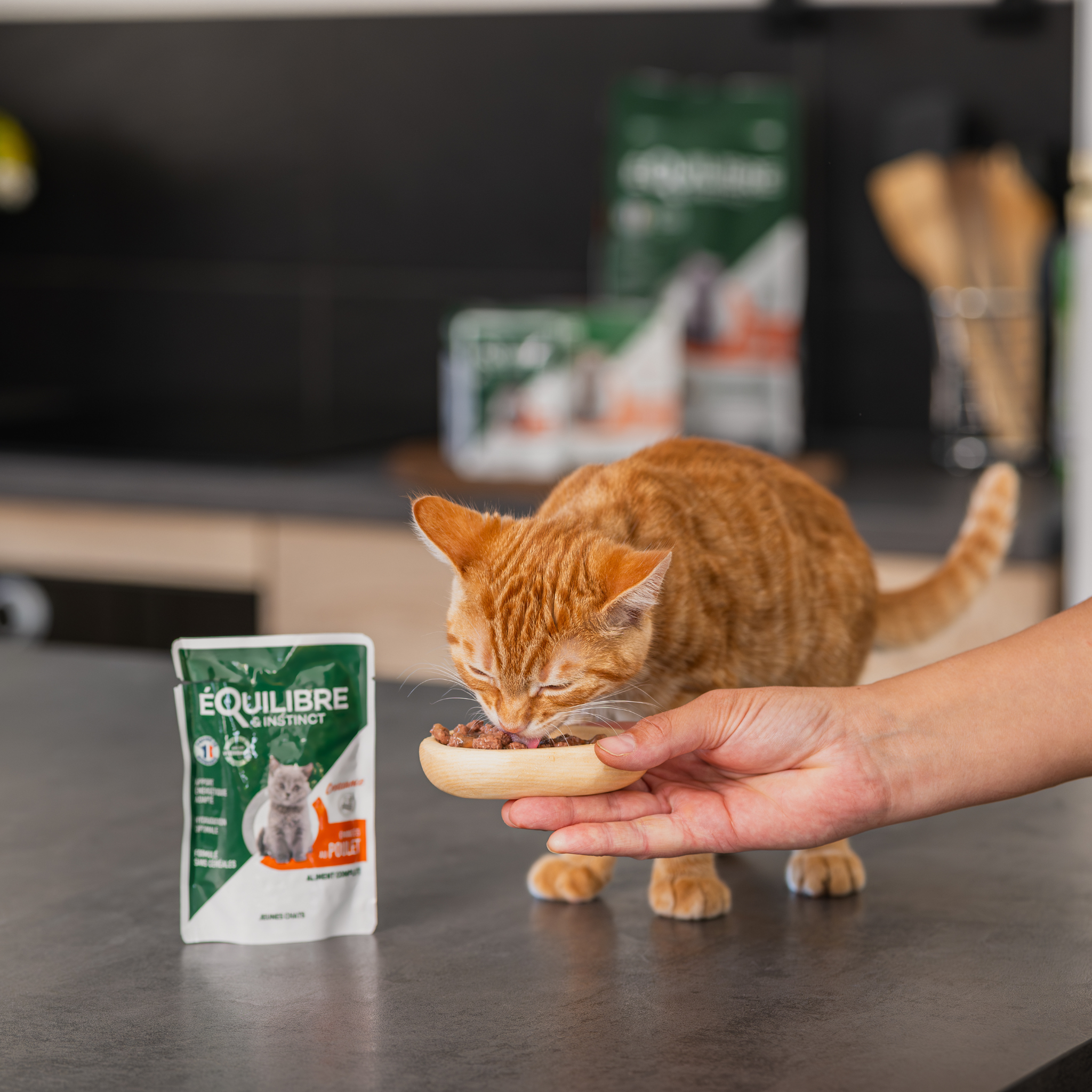 Emincés au poulet (chaton)