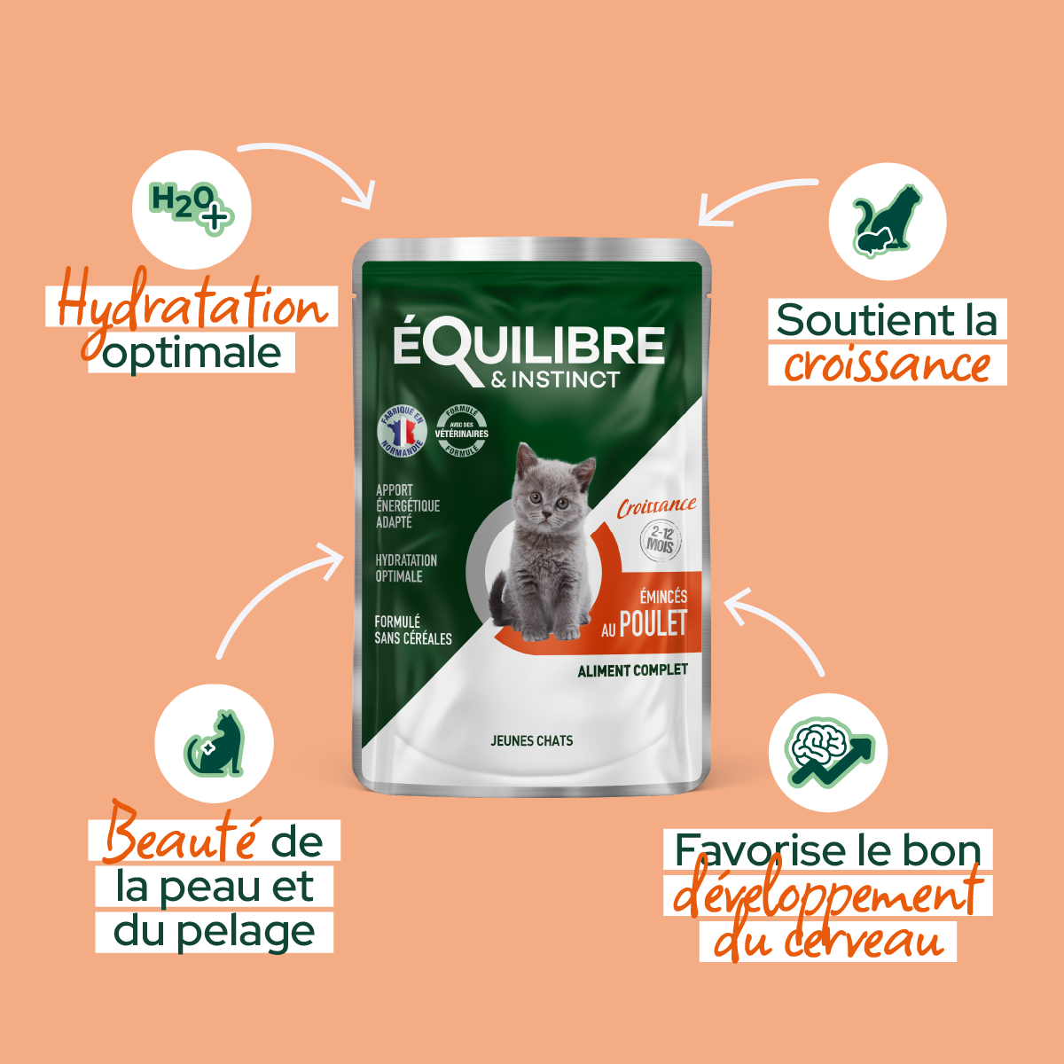 Emincés au poulet (Chaton)
