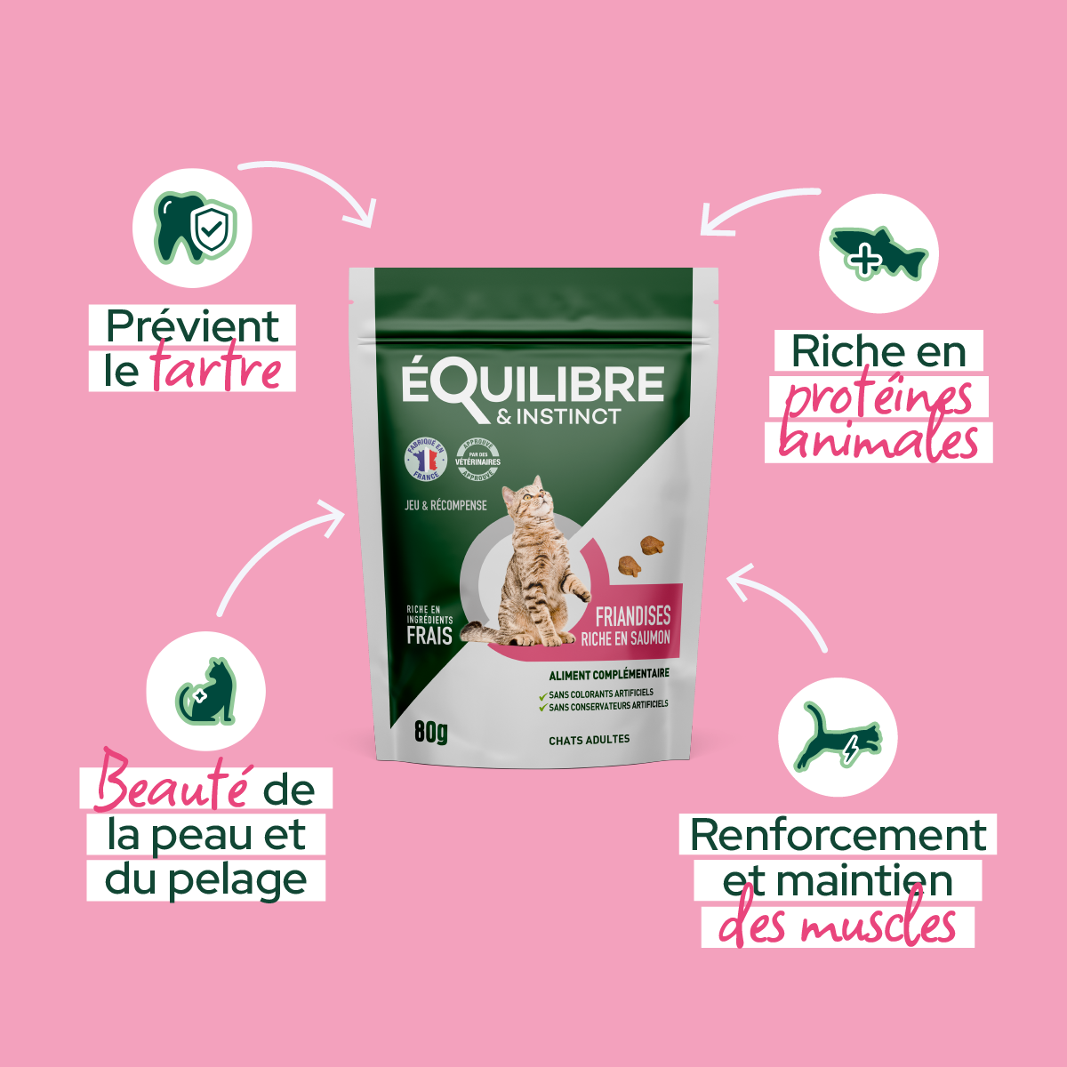 Friandises riches en saumon (Chat adulte)