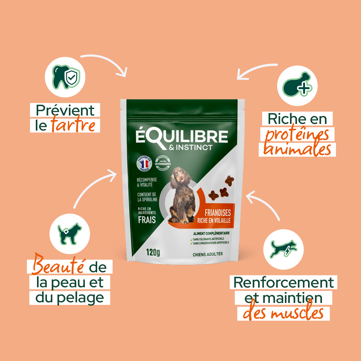 Friandises riches en volaille (chien adulte)