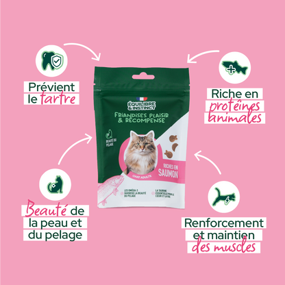 Friandises riches en saumon (Chat adulte)