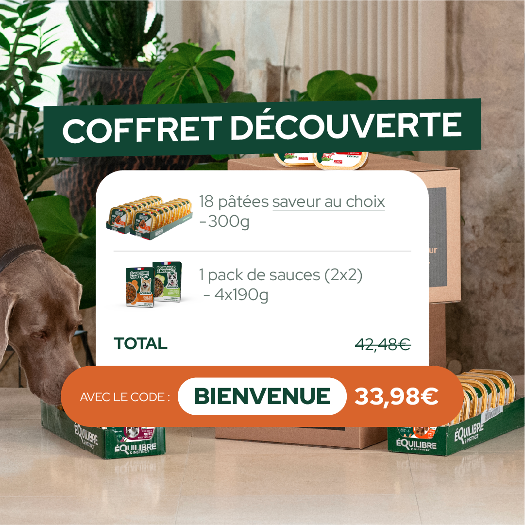 Pack découverte humide (Chien adulte)