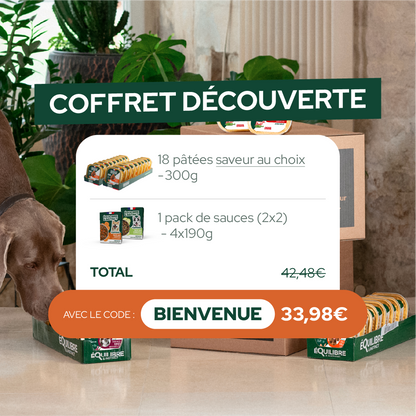 Pack découverte humide (Chien adulte)