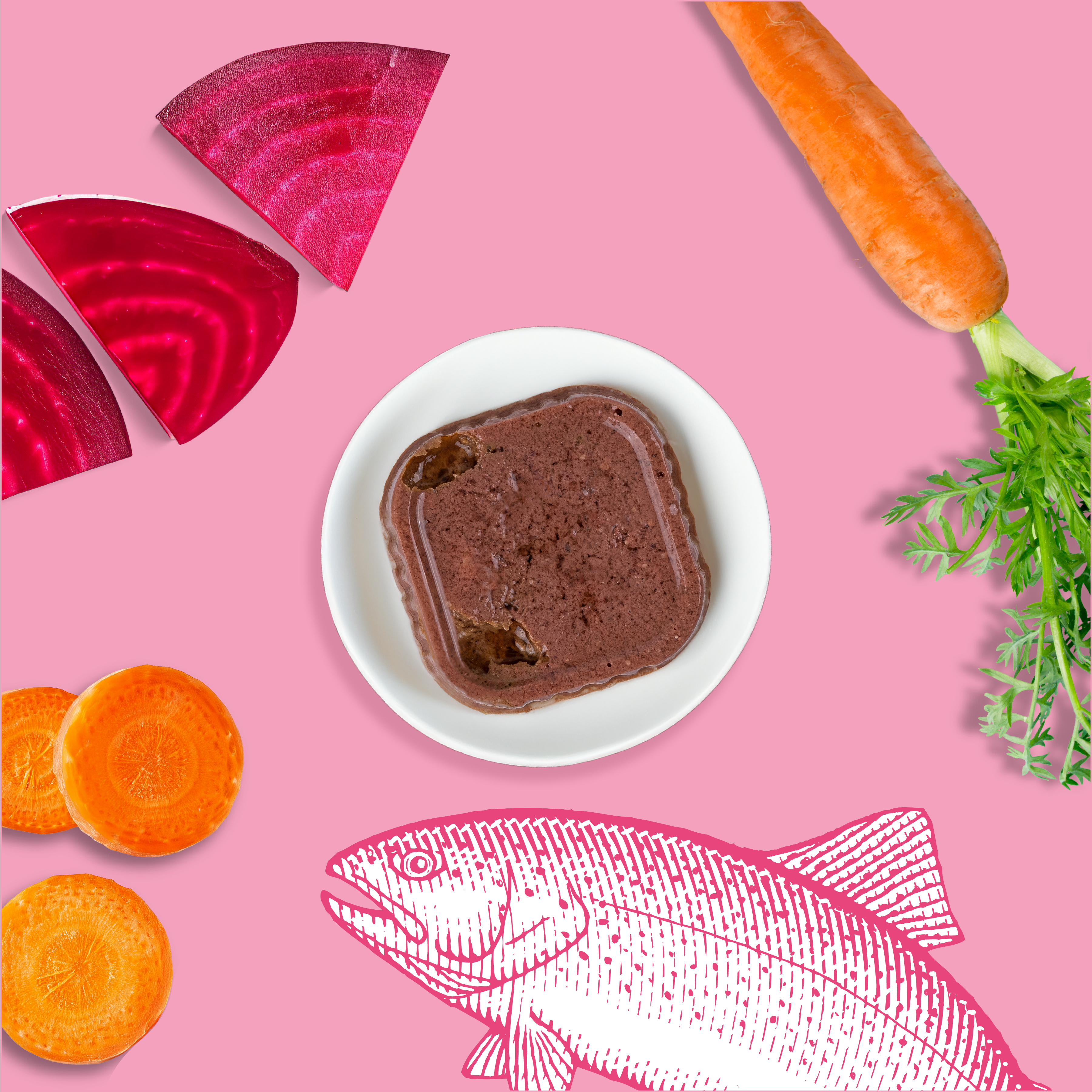 Mousses riches en saumon & aux carottes (Chaton)
