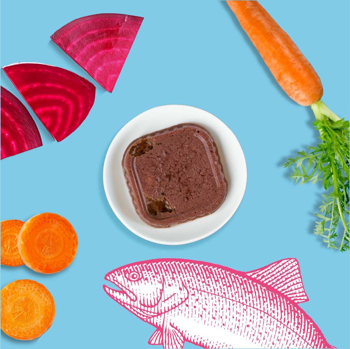 Mousses riches en saumon & aux carottes (Chaton)