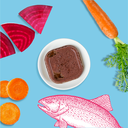 Mousses riches en saumon & aux carottes (Chaton)