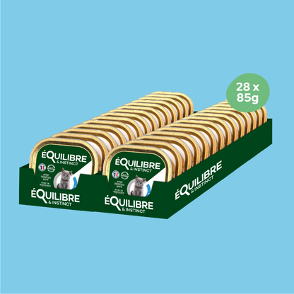 Mousses riches en saumon & aux carottes (Chaton)