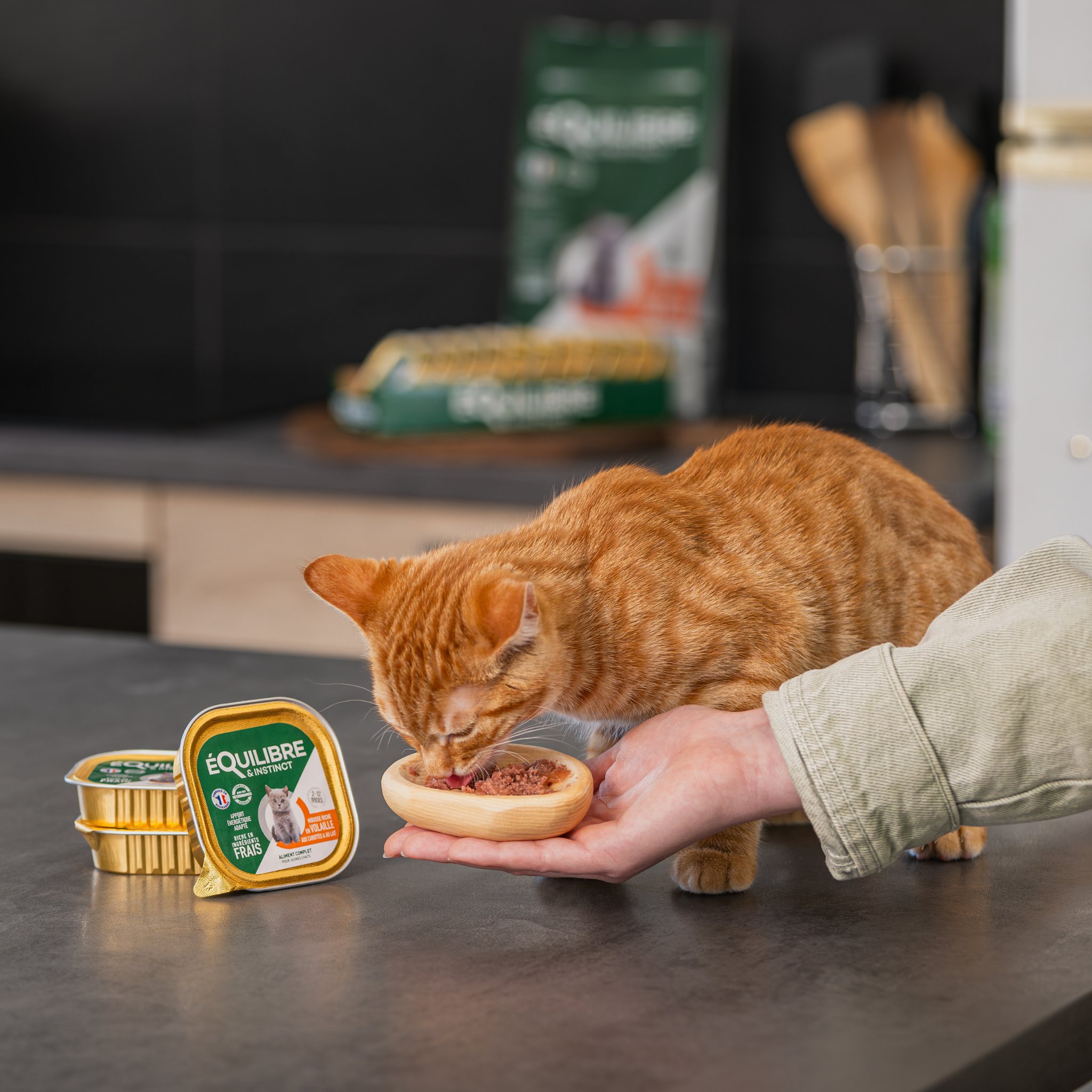 Mousses riches en volaille & aux carottes (chaton)