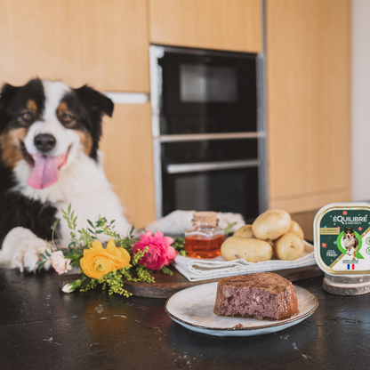 Pâtées à l'agneau & aux pommes de terre (Chien adulte)