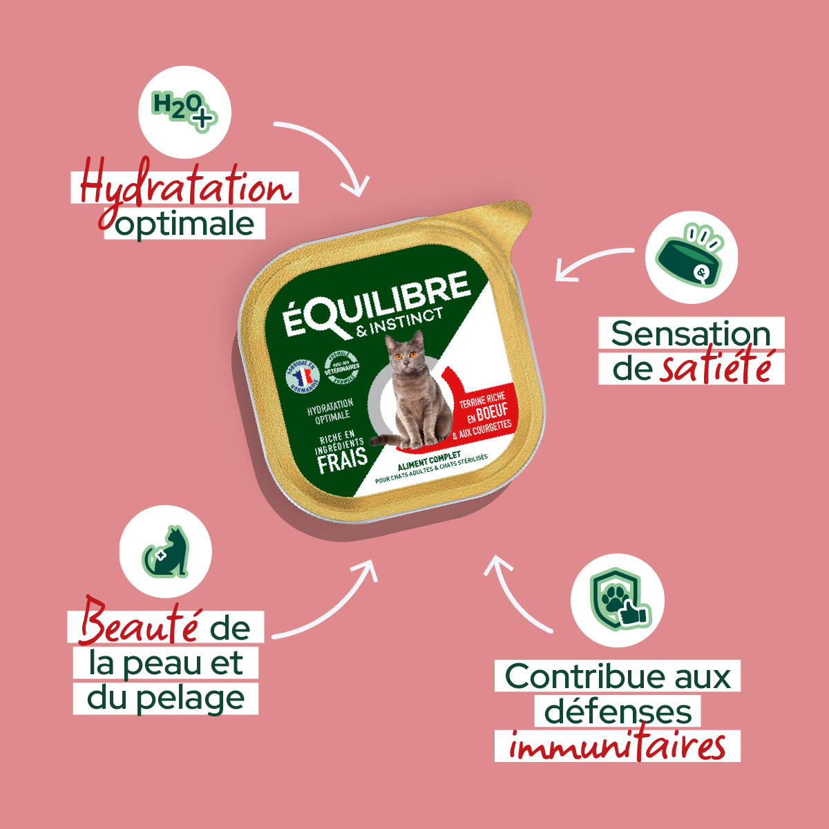 Pâtées riches en bœuf & aux courgettes (Chat stérilisé et Chat adulte)