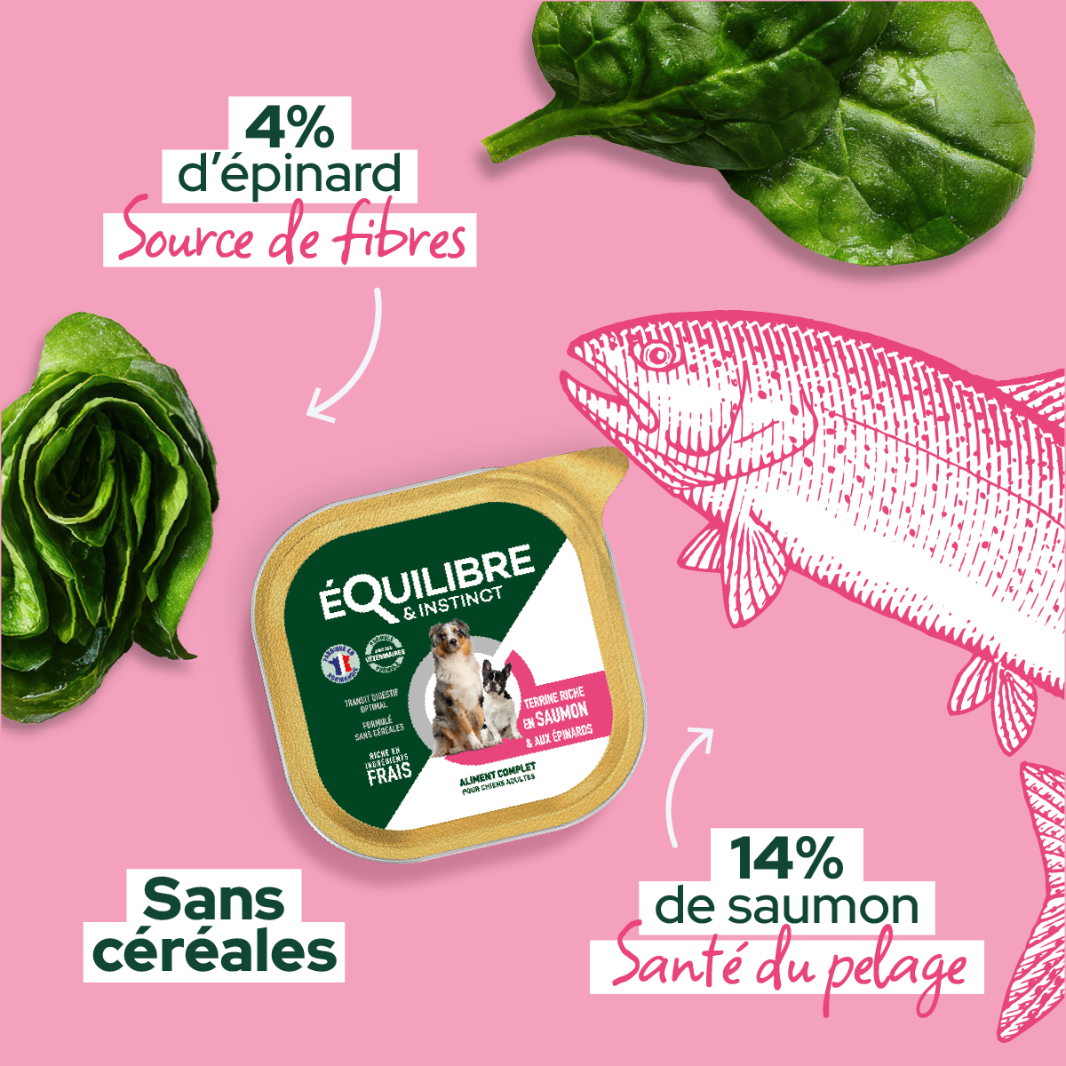 Pâtées riches en saumon & aux épinards (Chien adulte)