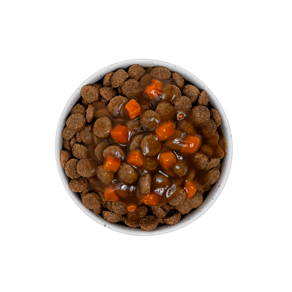 Sauce aux carottes (chien adulte)
