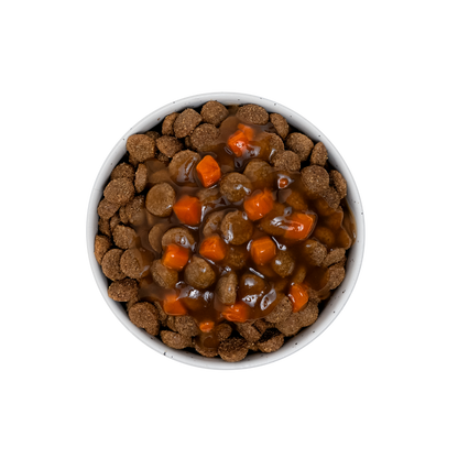 Sauce aux carottes (chien adulte)